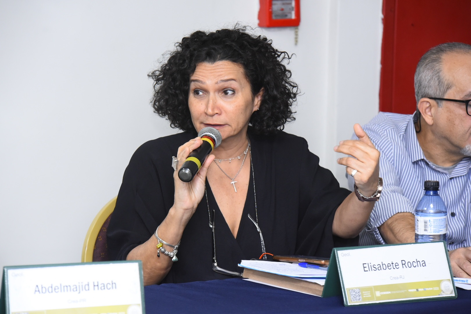 Geóloga Elisabete Rocha representa o Crea-RJ