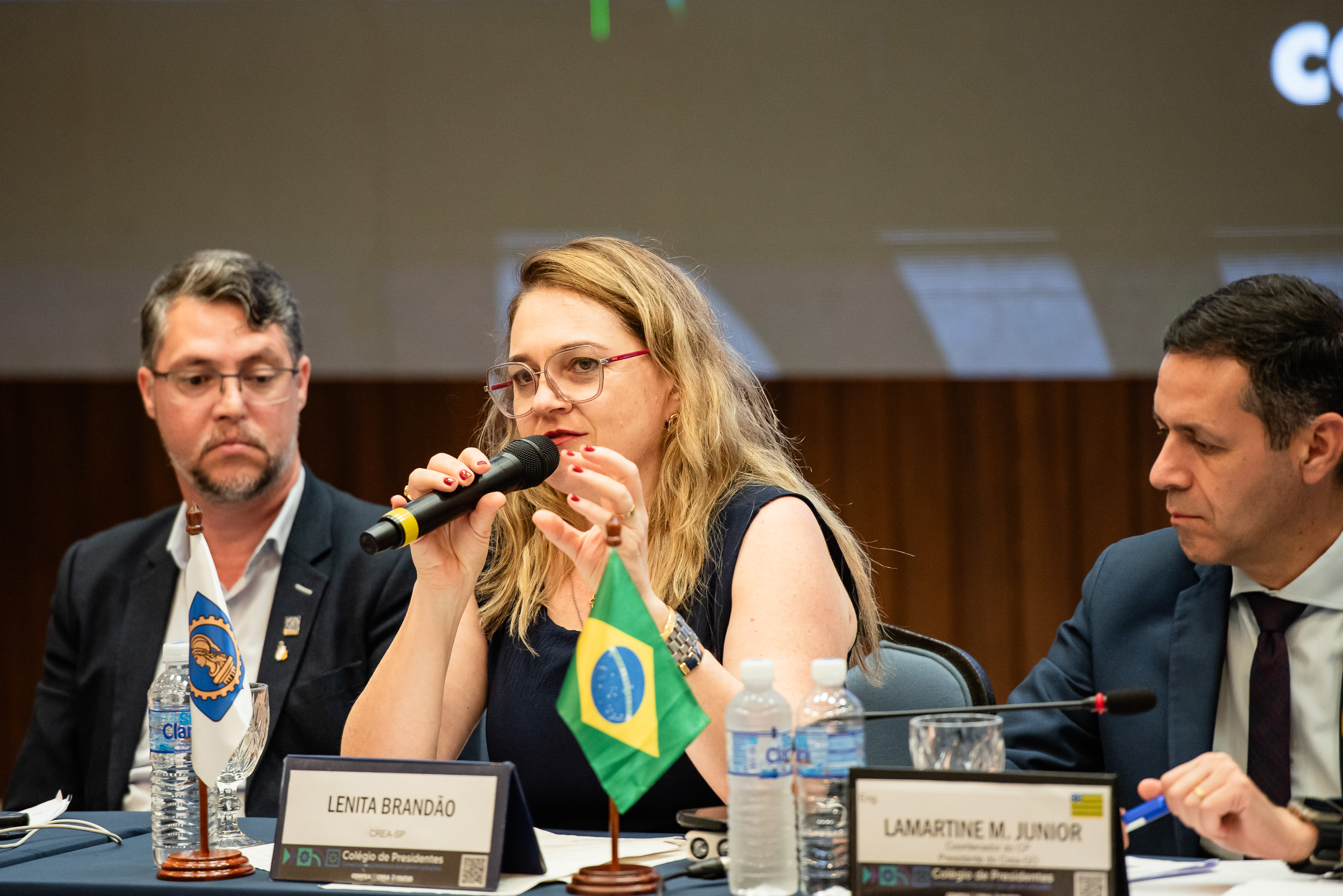 Engenheira civil Lenita Brandão apresentou detalhes sobre o processo eleitoral da ABNT