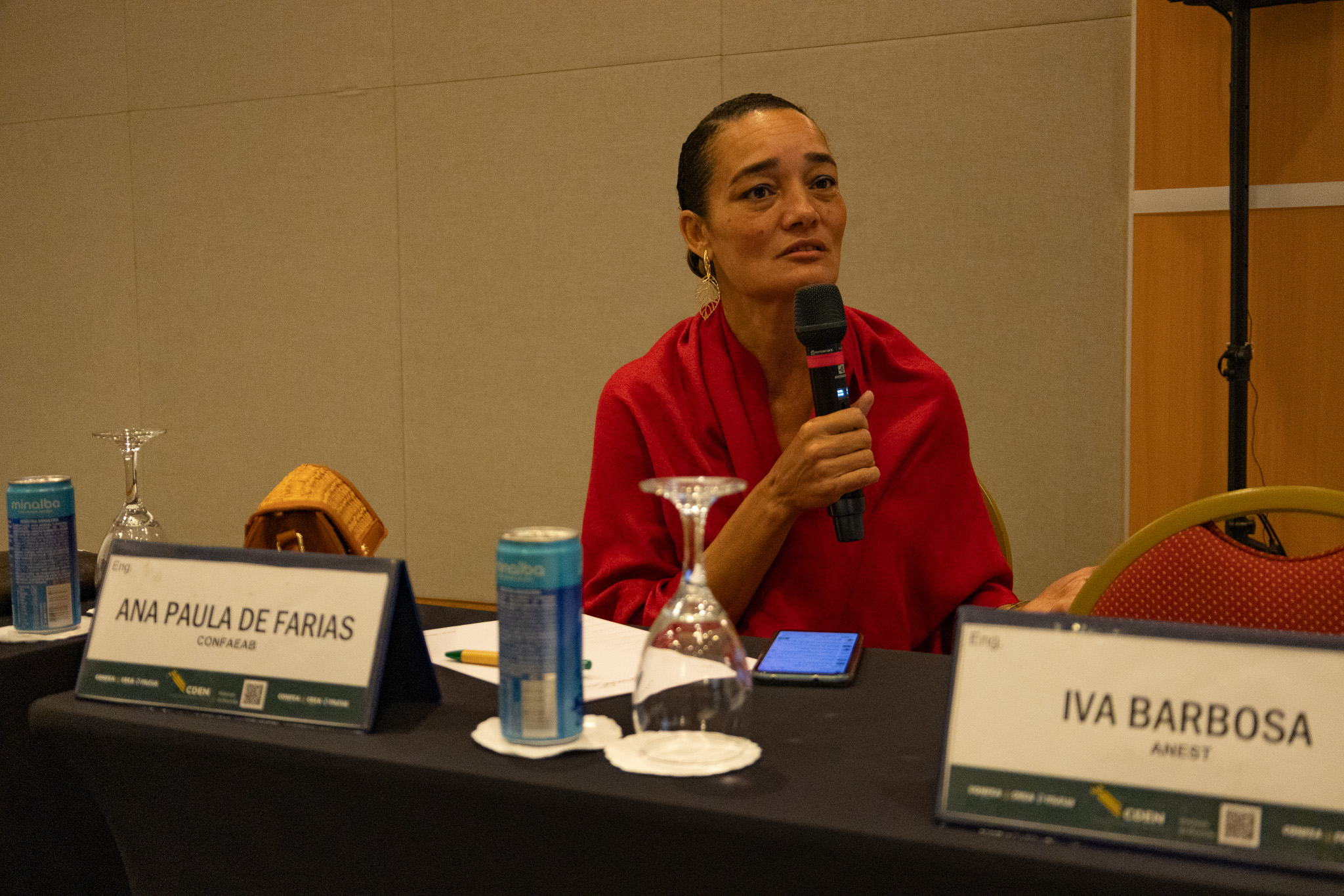 Engenheira Ana Paula de Farias apresentou a proposta da Confaeab para ampliar a participação do Cden junto à Comissão Temática de Harmonização Interconselhos (CTHI)