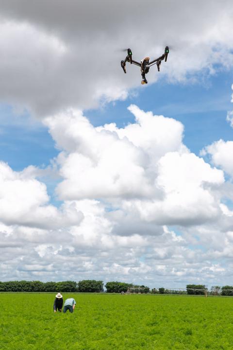 Drone utilizado na agricultura de precisão