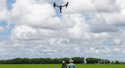 Drone utilizado na agropecuária