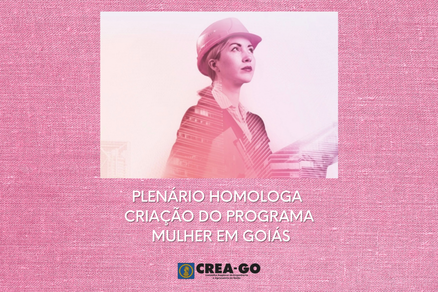 Cartaz diz plenário homologa criação do programa mulher em Goiás