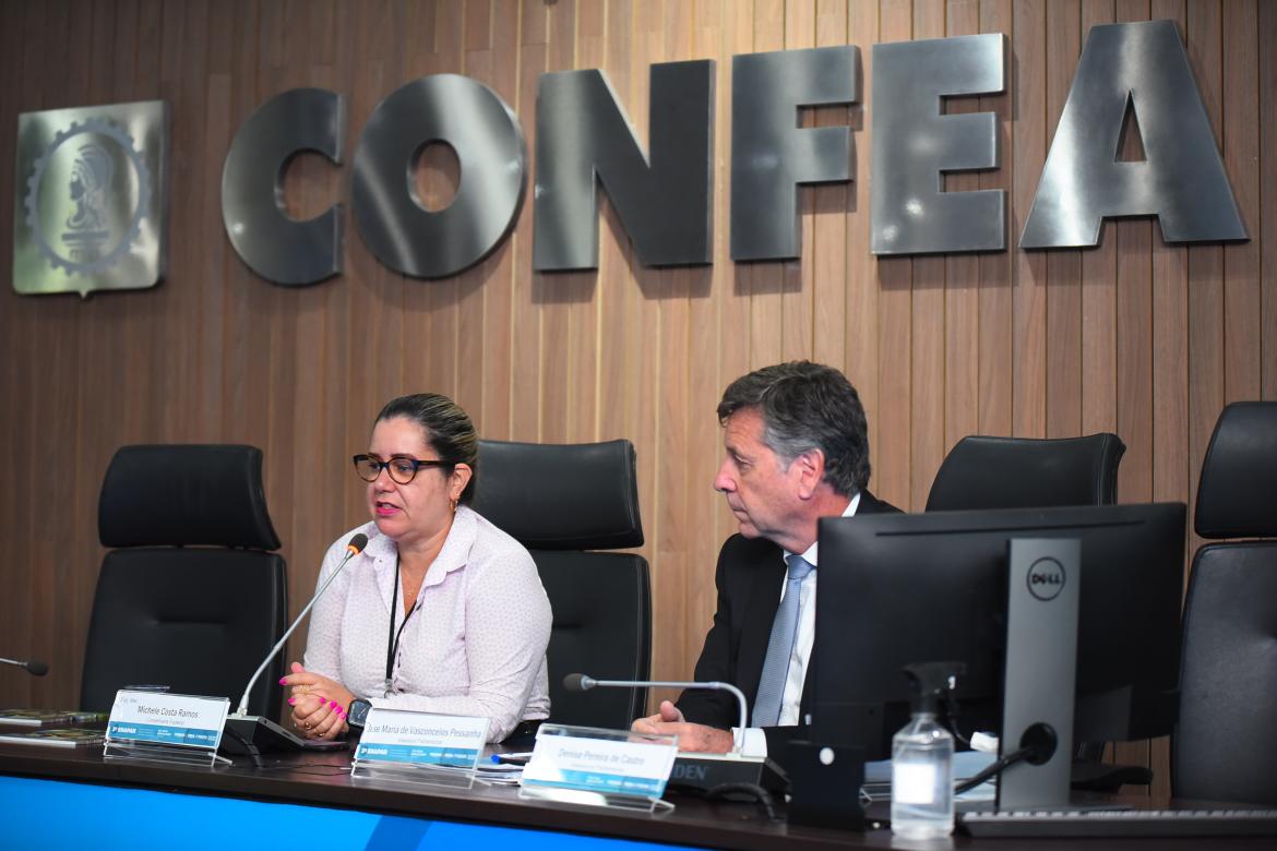 Atuação da assessoria parlamentar do Confea foi destacada pela conselheira federal Michele Costa